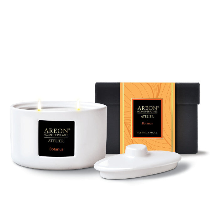 Žvakė, aromatinė AREON PREMIUM Botanus
