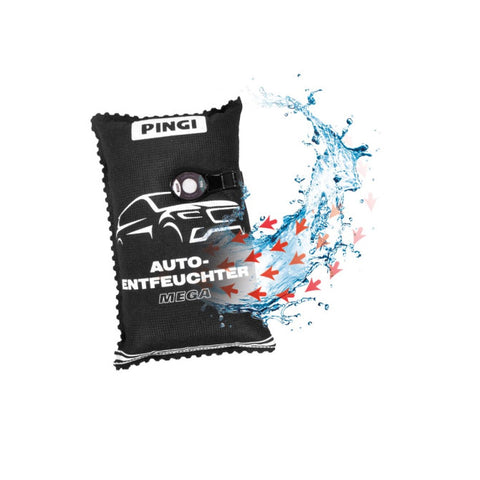 PINGI Car Dehumidifier 1000g
